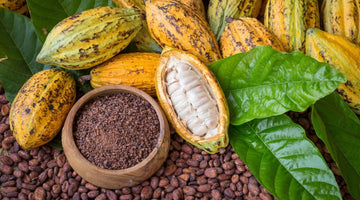 Power of Plants Spotlight: Cacao
